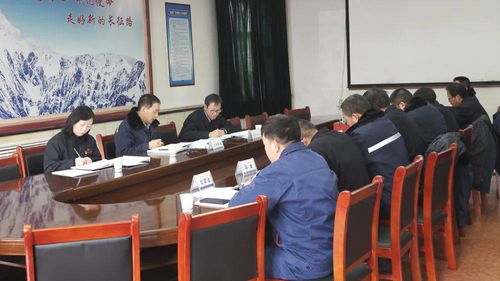 公司黨委開展2020年全面從嚴治黨 黨建 檢查考核工作