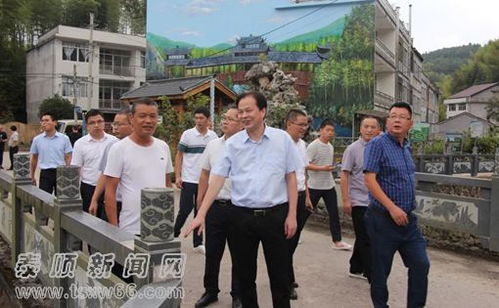 泰順縣委書記陳永光督查 最美鄉愁村 建設 打造精品 合力推進鄉村精彩蝶變